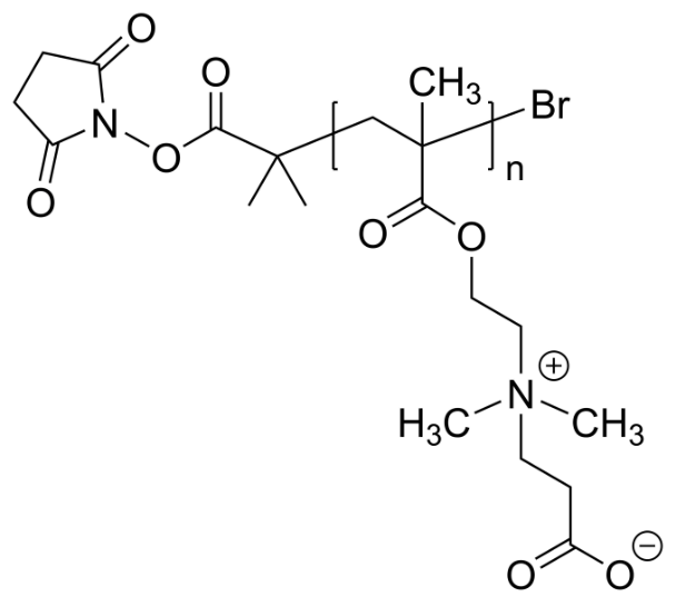 Poly(carboxybetaine methacrylate), α-N-hydroxysuccinimidyl-terminated 